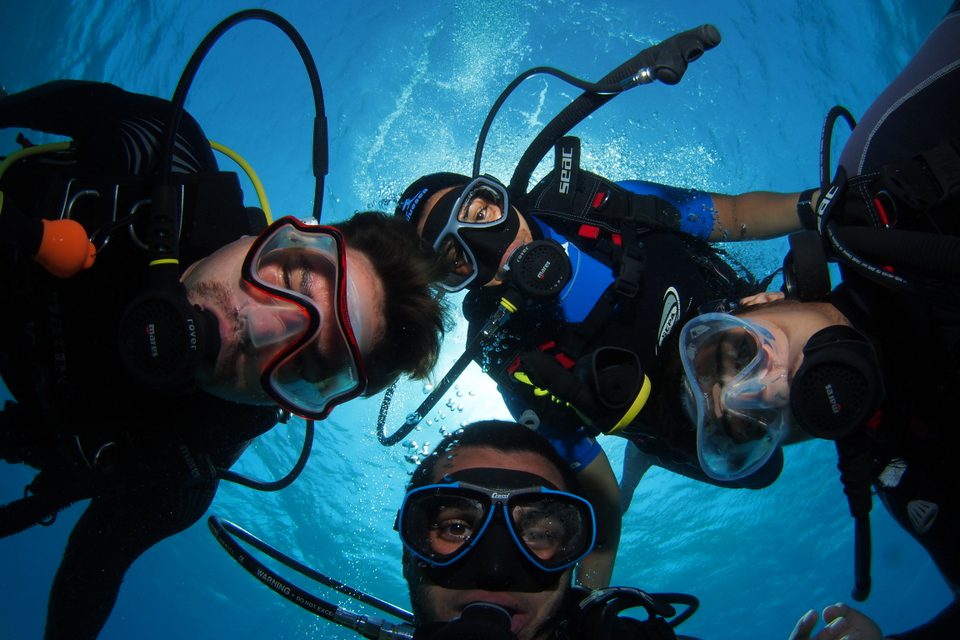 manta.red-sea.md (44) manta.red-sea.md (44)